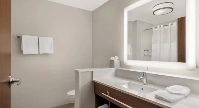 Люкс c 1 комнатой Holiday Inn Express - Nashville South - Spring Hill by IHG