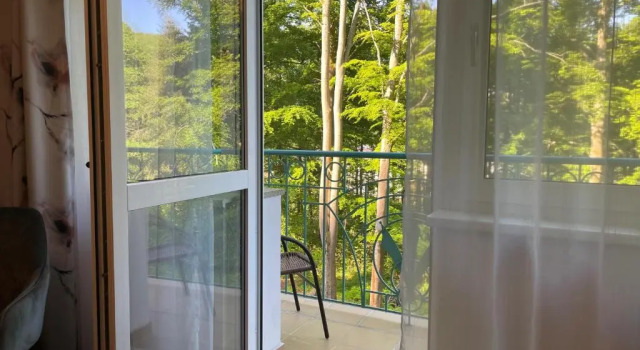 Номер Deluxe Villa Savoy