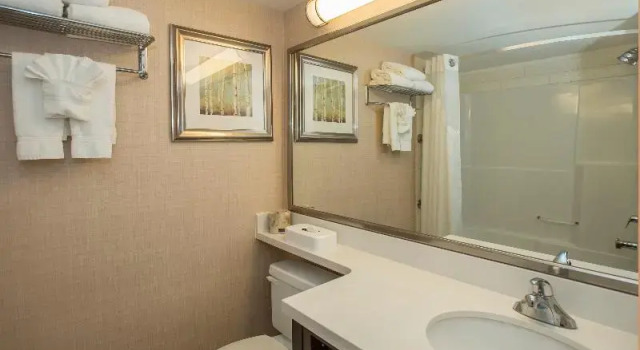Двухместный номер Standard с балконом Holiday Inn Conference Centre Edmonton South by IHG