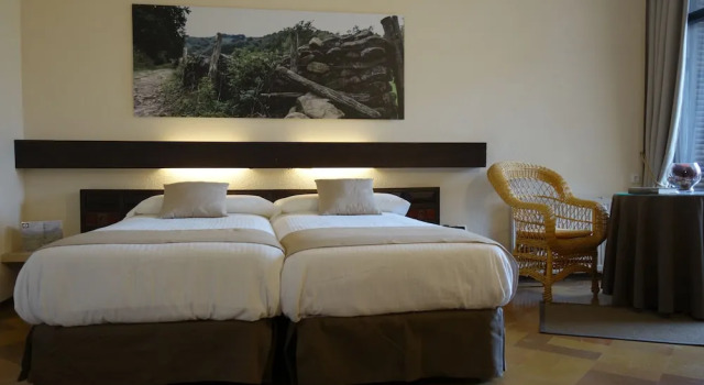 Standard Double room with balcony Hotel Baztan