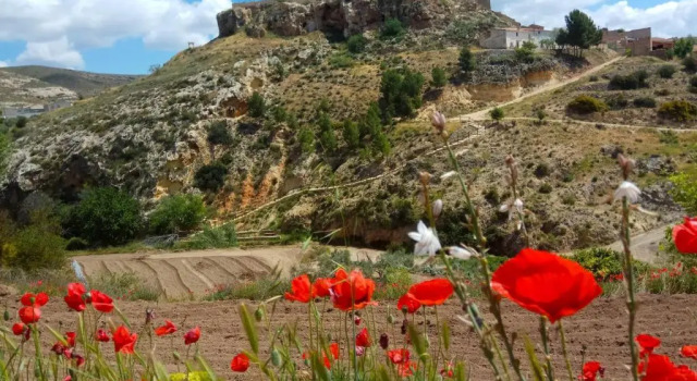 Коттедж Casa Rural "Doña Martina"