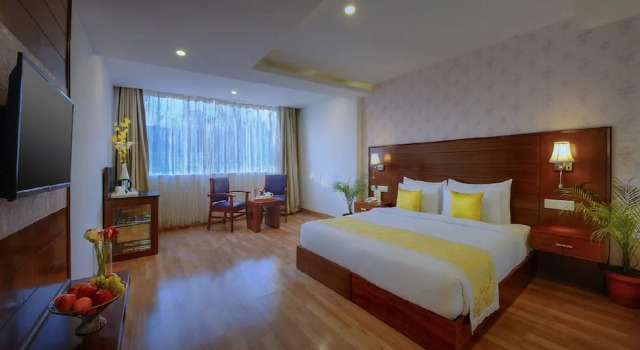 Номер Executive TreeHouse Chail Villas