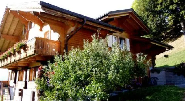 Am Eigen, Prenota Hotel Grindelwald 