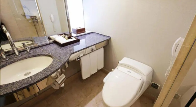 Run of House Geoje Samsung Hotel