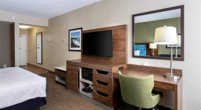 Номер Deluxe Hampton Inn Buffalo-South/I-90