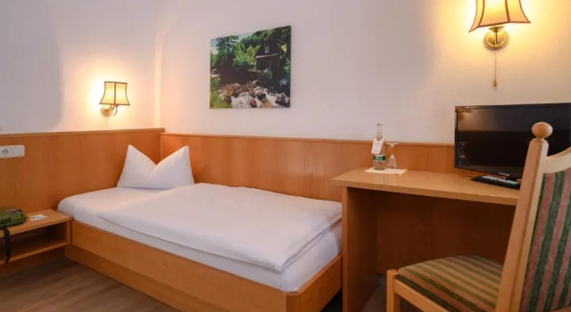 Одноместный номер Standard Hotel Pflug