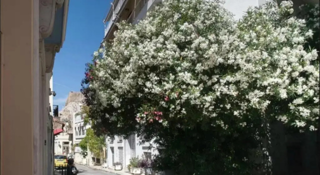 Полулюкс Nephiria, Back to Tradition, In the heart of Plaka