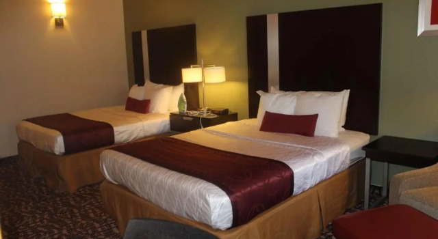 Номер Standard Best Western Plus The Woodlands