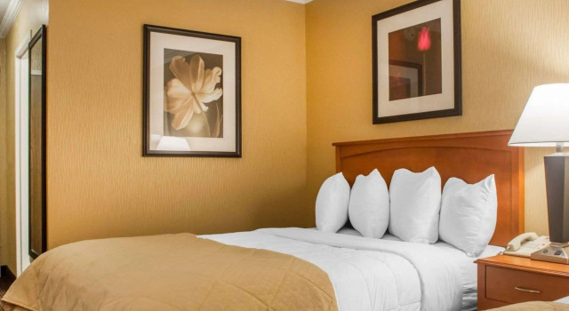 Четырёхместный номер Standard Clarion Hotel & Suites Riverfront
