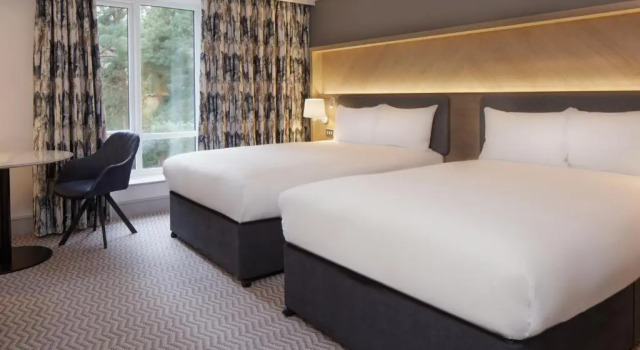 Четырёхместный семейный номер Standard Hilton Cobham