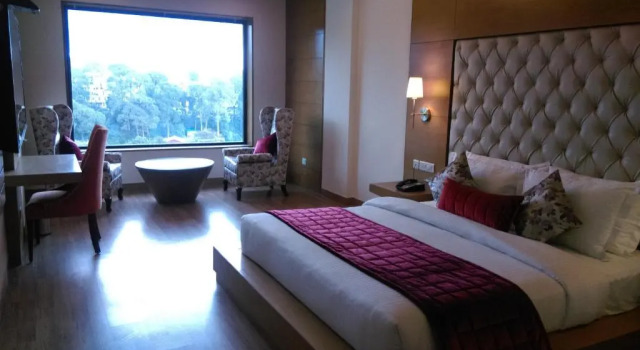 Двухместный номер Superior с видом на город RS Sarovar Portico