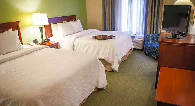 Czteroosobowy suite 1 sypialnia Hampton Inn & Suites, Springfield SW