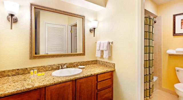 Люкс с 2 комнатами Residence Inn by Marriott Spartanburg