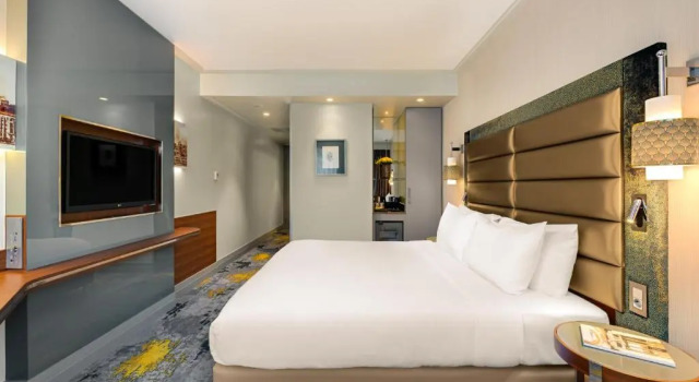Двухместный номер Superior с видом на город The Artisan Hotel Istanbul - MGallery Collection