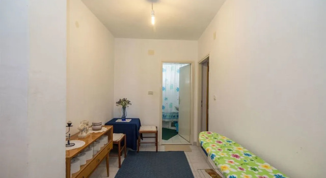 Apartment Ante TonÄi