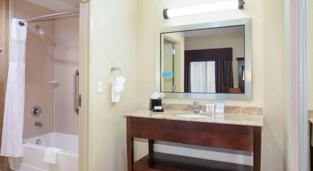 Двухместный люкс Hampton Inn and Suites Denver/South-RidgeGate