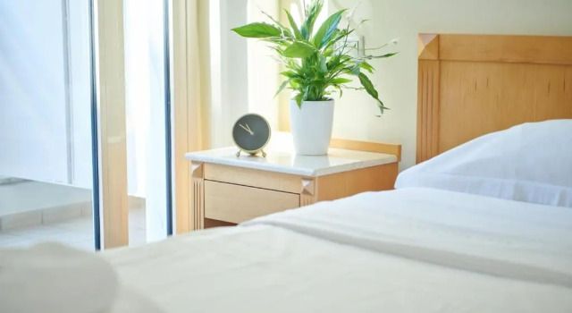 Одноместный номер Standard Telioni Hotel