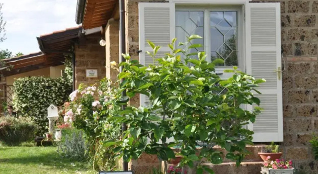 B&B Menica Marta Country House