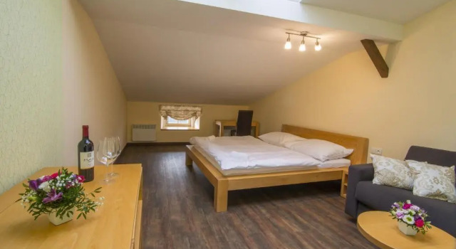 Двухместный номер Deluxe с балконом Hotel Anno