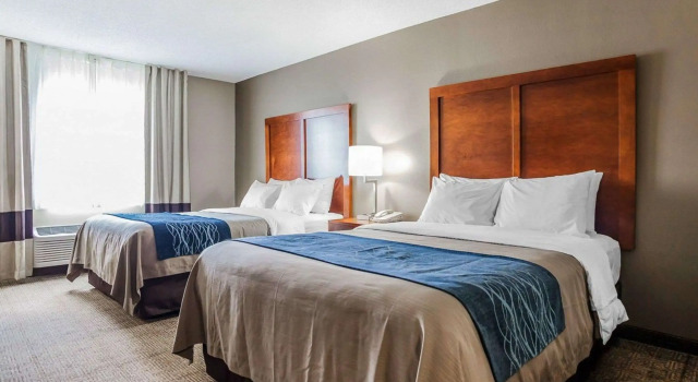 Standardowy czteroosobowy pokój Comfort Inn