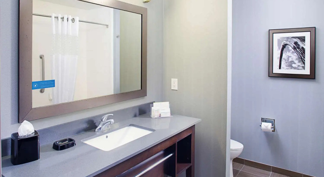Двухместный люкс Hampton by Hilton Lansing West