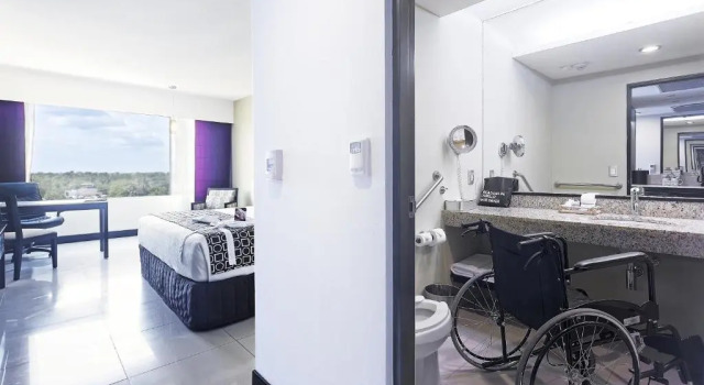 Двухместный люкс Crowne Plaza Villahermosa by IHG