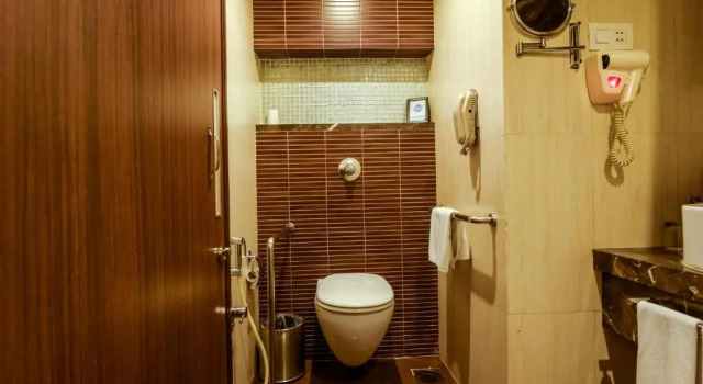 Двухместный номер Standard Express Inn The Business Luxury Hotel