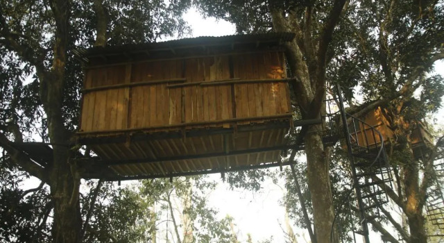 Кровать в общем номере Pemsees Tree Town - Eco Treehouse Hostel