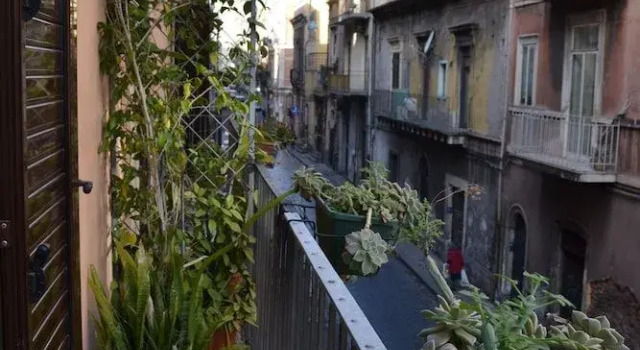 Il Saraceno Errante