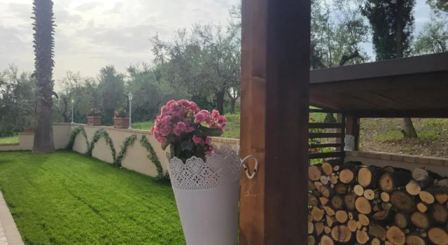Casale Angela