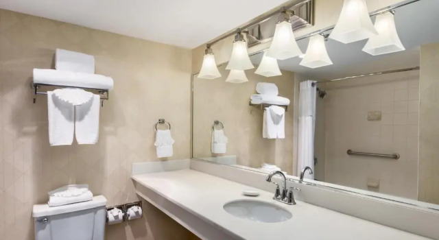 Номер Standard Holiday Inn Select North Dallas