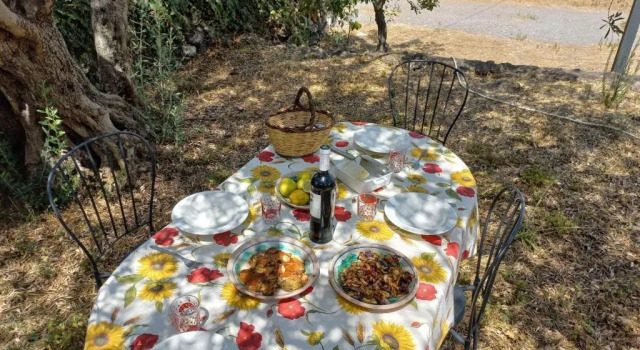 La casa di Bacco - Etna Country House - Affitto breve