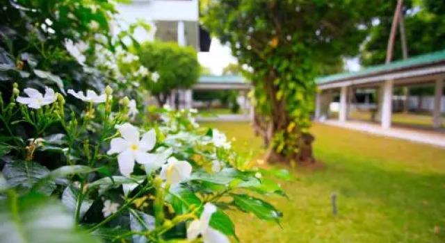 Sorabora Gedara Hotel, Book Hotel Mahiyangana 