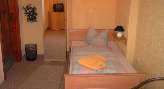 Одноместный номер Economy Gästehaus Lisakowski Pension am Brautwiesenpark