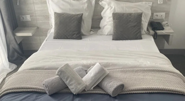 Standart çift kişilik oda Hôtel L'Alsace