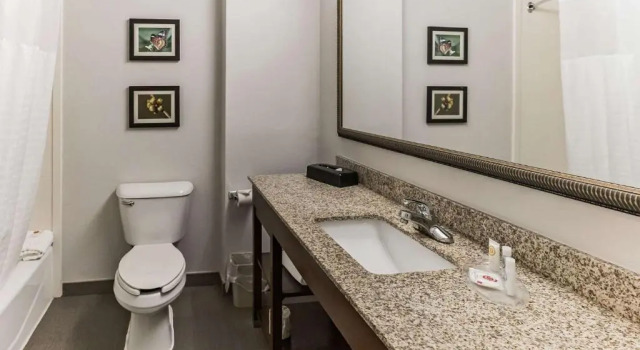 Люкс Comfort Suites Salisbury I-85
