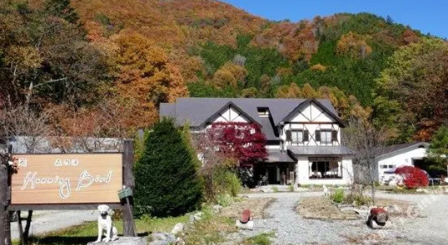 Hamming Bird Hotel, Prenota Hotel Nikko 