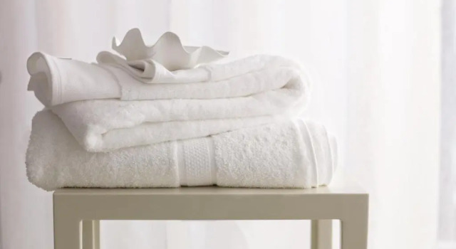 Четырёхместный номер Standard Sheraton Rockville