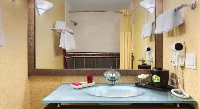 Двухместный номер Standard Poco Inn and Suites Hotel & Conference Centre