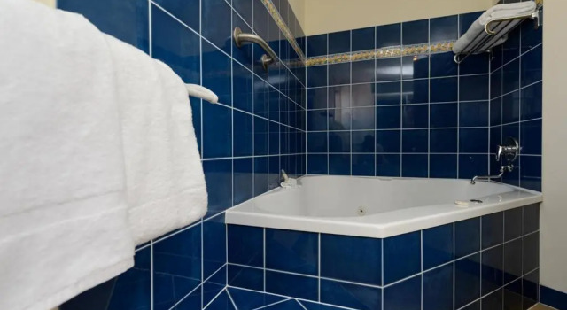 Двухместный номер Executive Villa Mirasol Motor Inn
