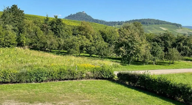 Ferienwohnung Reblandblick, Reserva ahora Hotel Hoteles en Baden-Wurtemberg con aparcamiento, Aparcamiento