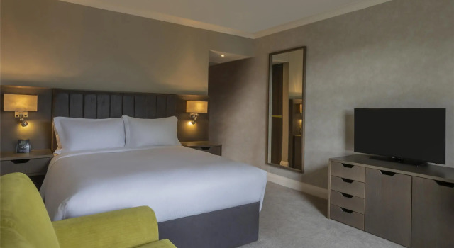 Двухместный номер Standard Hilton Dublin