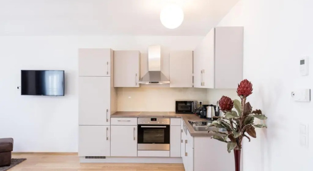 Апартаменты Пентхаус с 2 комнатами Vienna Stay Apartments Tabor 1020