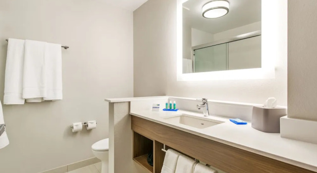 Двухместный люкс Holiday Inn Express & Suites - Carrollton West by IHG
