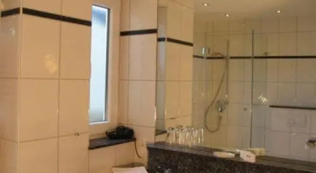 Двухместный номер Standard Baudobriga Rheinhotel
