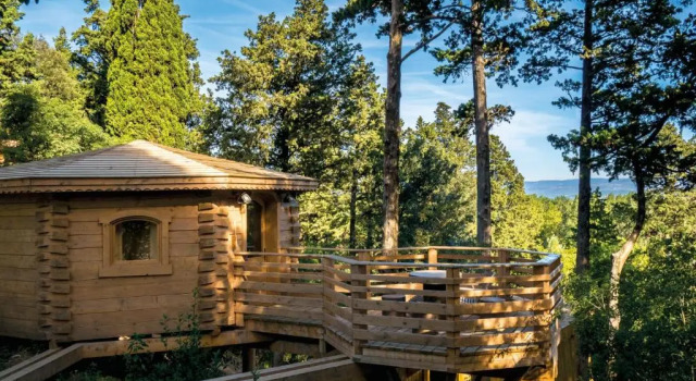 Номер Deluxe Les Cabanes Dans Les Bois Logis Hôtel