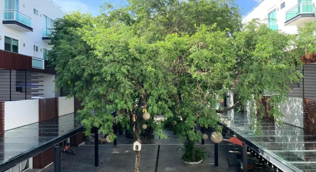 Апартаменты San Pedro Hotel, 5ta Avenida