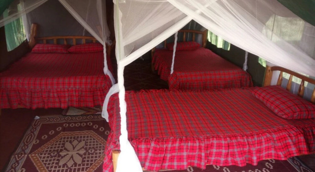Номер Standard Masai Mara Manyatta Camp