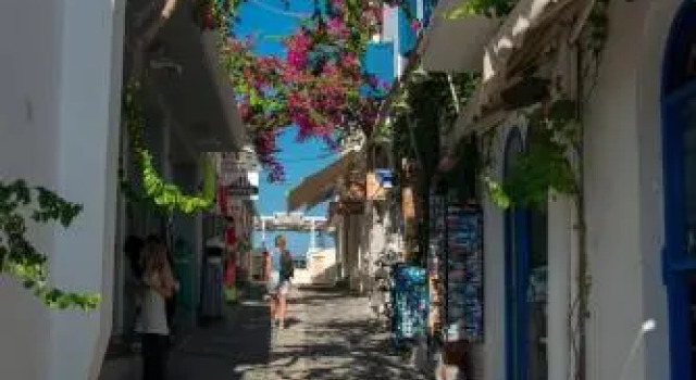 Petini's Place
