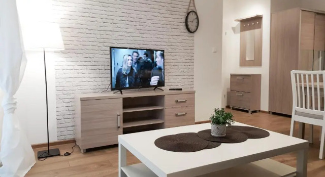 Апартаменты Цокольный этаж Michano Apartamenty Premium